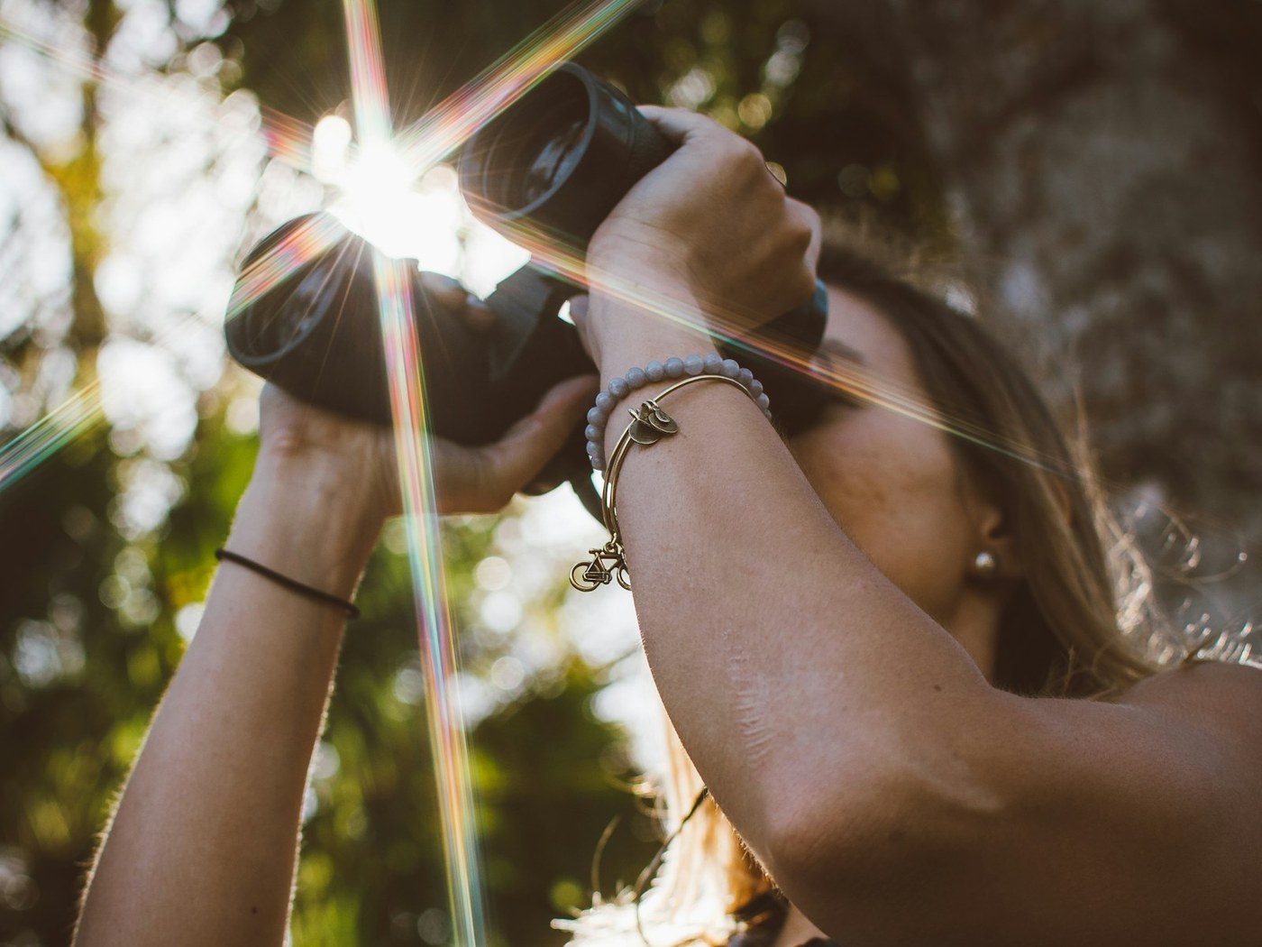 Cámara-trampa entre encinas para fototrampeo y birdwatching en La Ronca