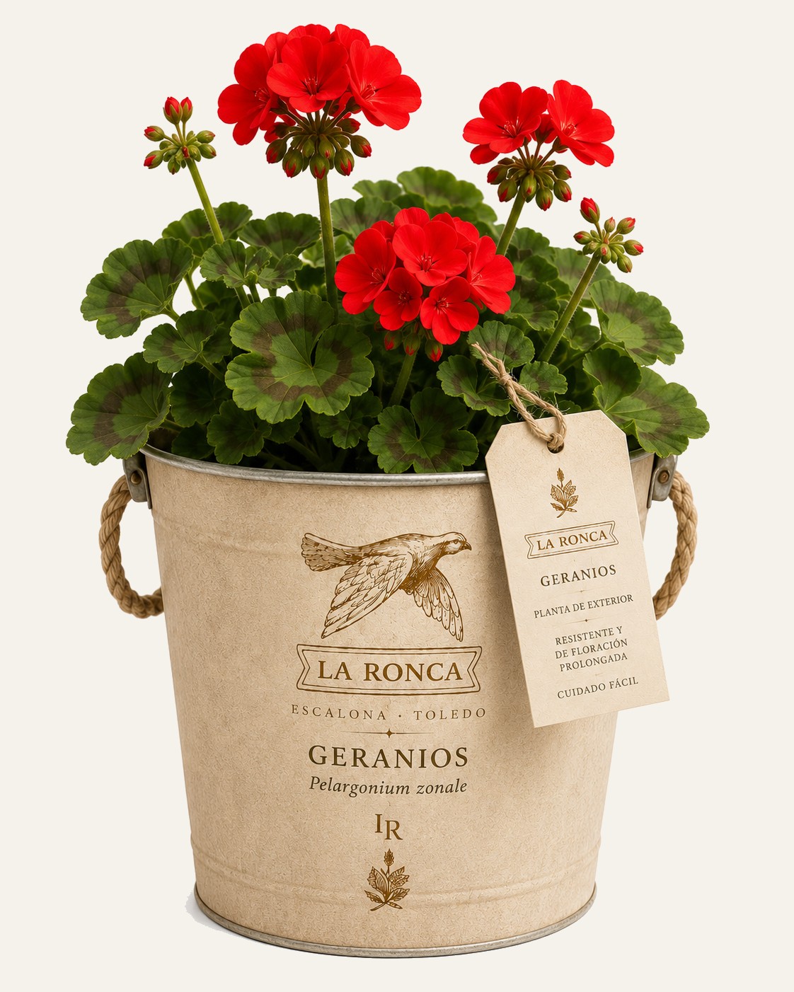 Geranios · criadero propio · La Ronca